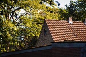 roof repair in occidental ca