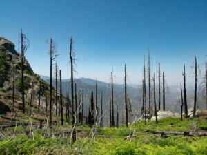 battery storage rebates and incentives in california