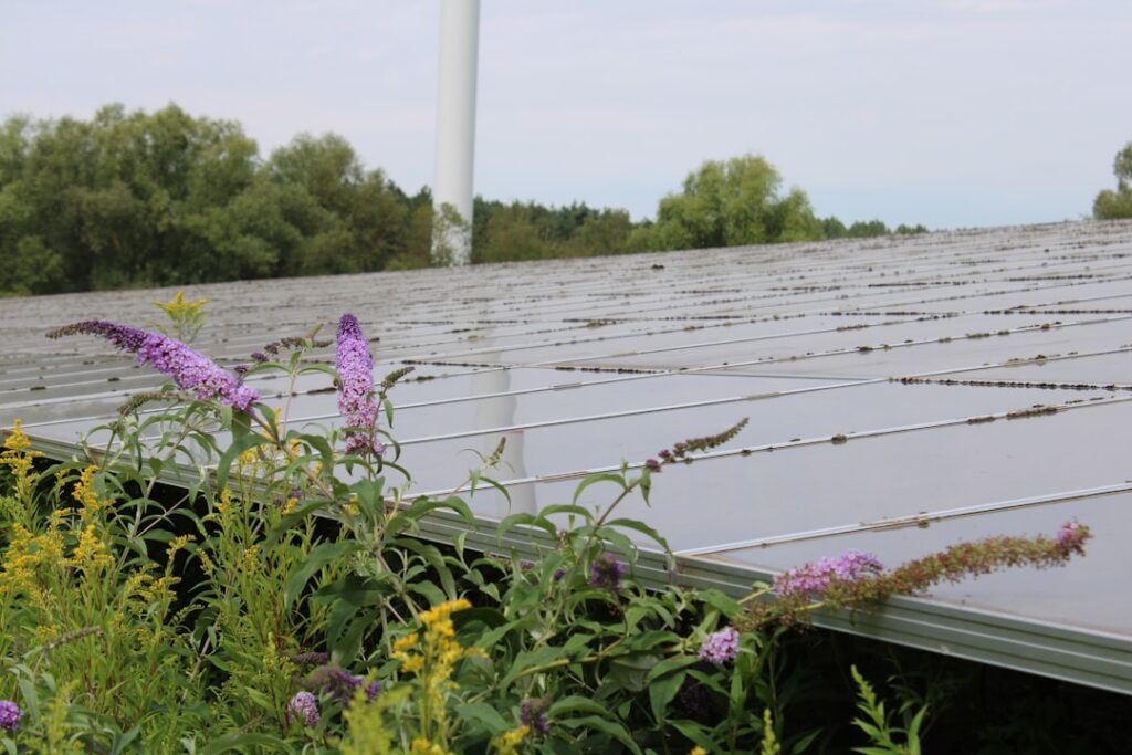 spring roof and solar inspection checklist