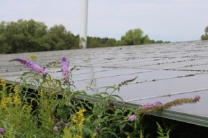 spring roof and solar inspection checklist