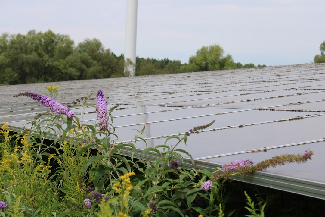 Slb Checklist Spring Roof and Solar Inspection Checklist 2026