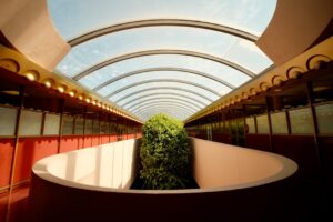 skylight options for california homes