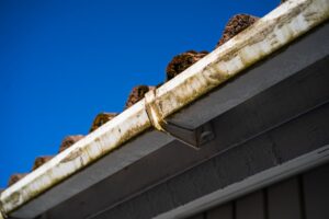 spring gutter maintenance after rainy season