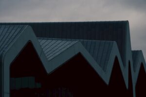 standing seam metal roof vs shingle roof on modern home
